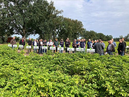 Erwachsene Männer stehen an einem bepflanzten Feld mit den Sortenschildern: Ladia, Merrit, Henriette, Karli, Antora, Aventor, Hermans, BMC, Aletta, Aveline und Avamond.