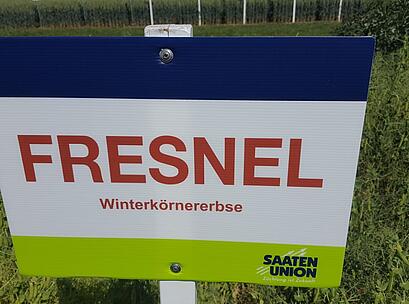 Futtererbse FRESNEL, Feldschild