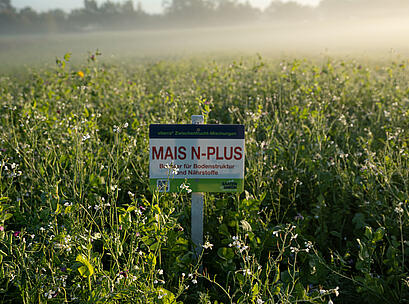 Mais-N-Plus-Schild