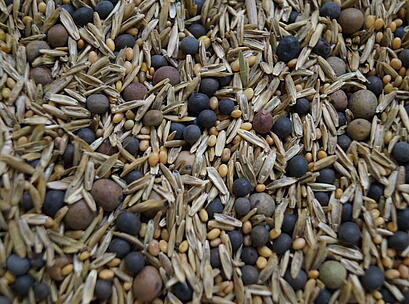 viterra® Lundsgaarder Gemenge, Saatgut