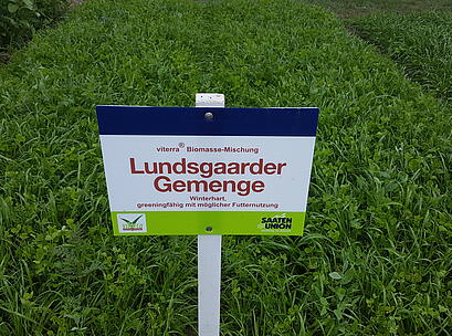 viterra® Lundsgaarder Gemenge, Feldschild vor Parzelle