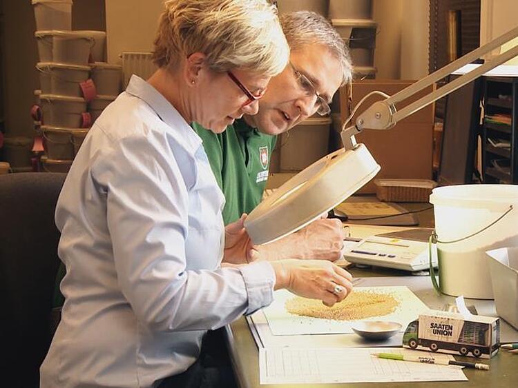 Zwei Mitarbeitende sehen sich Saatgut unter einem Mikroskop an.